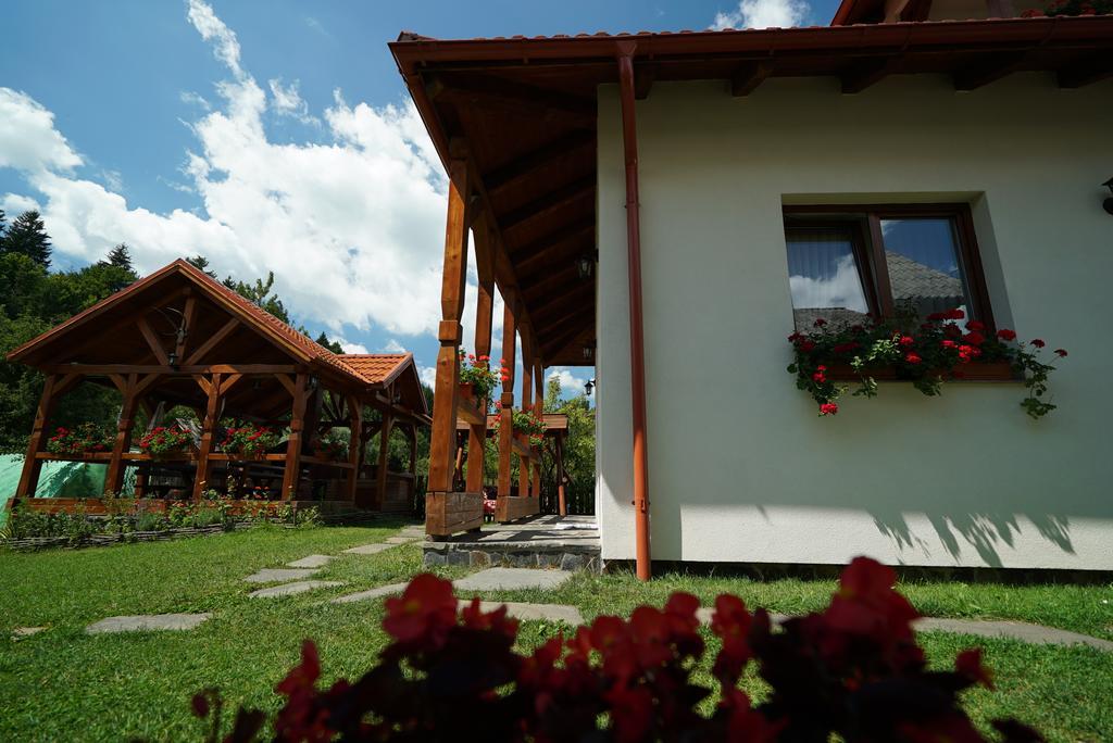 Hotel Casa Bunicii à Moisei Extérieur photo