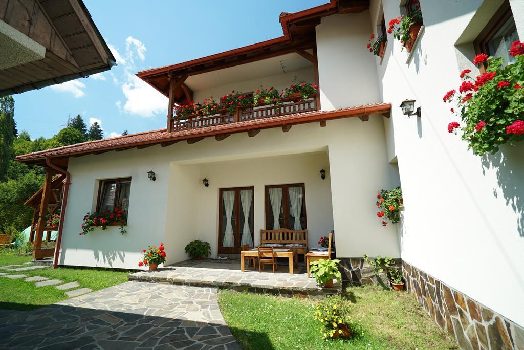 Hotel Casa Bunicii à Moisei Extérieur photo